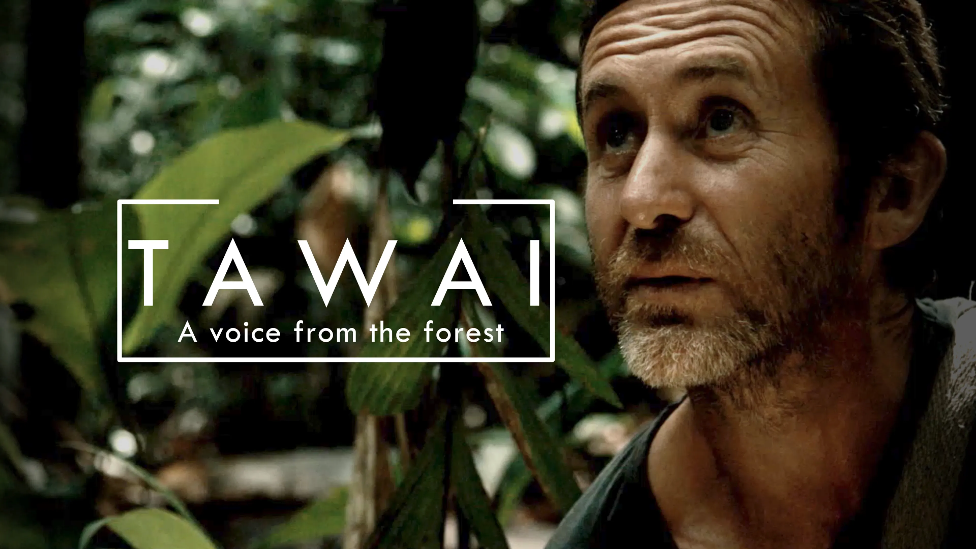 Tawai: A Voice from the Forest poster